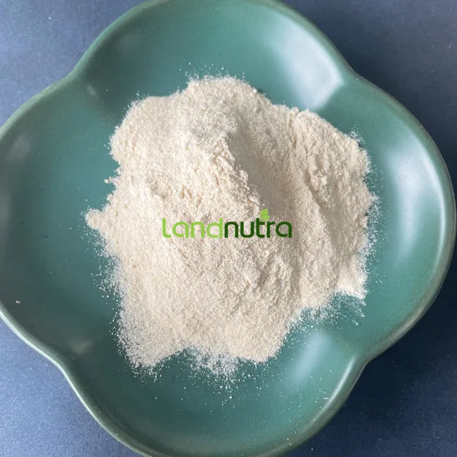 water soluble food grade carboxymethyl chitosan powder 1kg chitosan powder.jpg