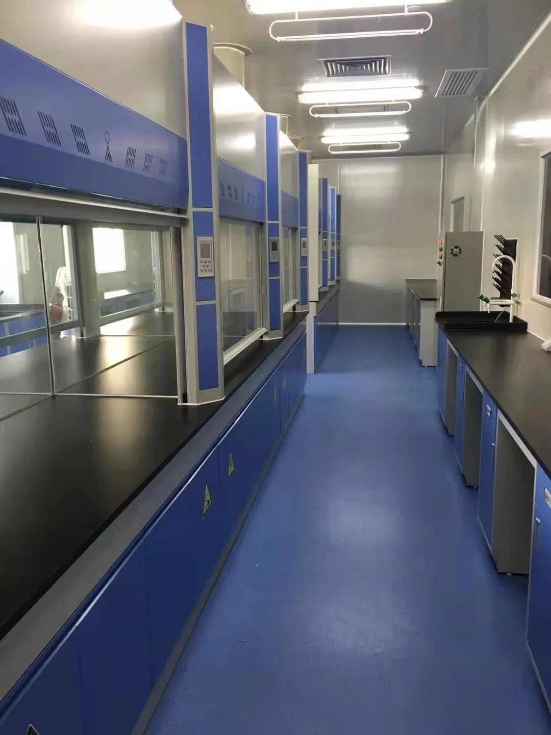 All Steel Lab Fume Hood 1200*850*2350 mm with Customizable Color for Chemistry and Physics Labs