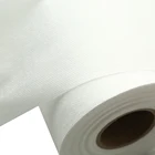 Nonwoven Bi-Component Nonwoven Fabric Pp Non Woven Rolls EP Sheath /core Bicomponent Hydrophilia Nonwoven