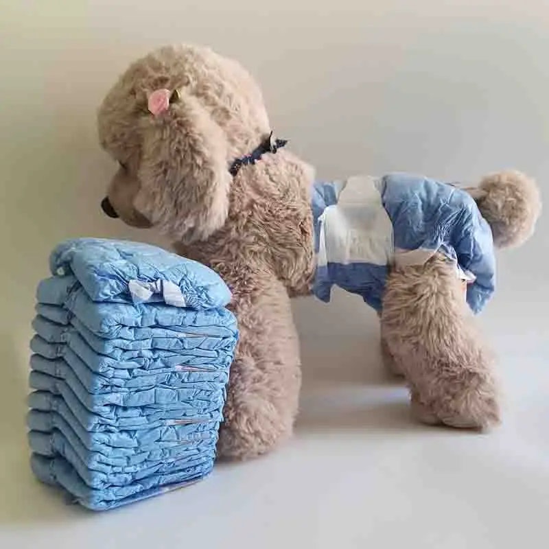 How Do You Take Care Of A Dog In A Diaper