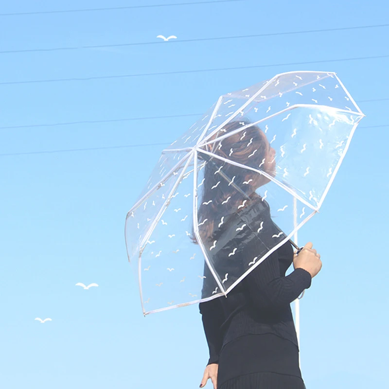 WHY418 Wholesale Portable Transparent Umbrella Auto Open Folding Umbrella Korean Style Multi Color Clear Umbrella