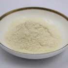 Health Care Hot Selling Best Price And High Quality ODM/OEM Health Care Probiotics Immune Booster Supplements