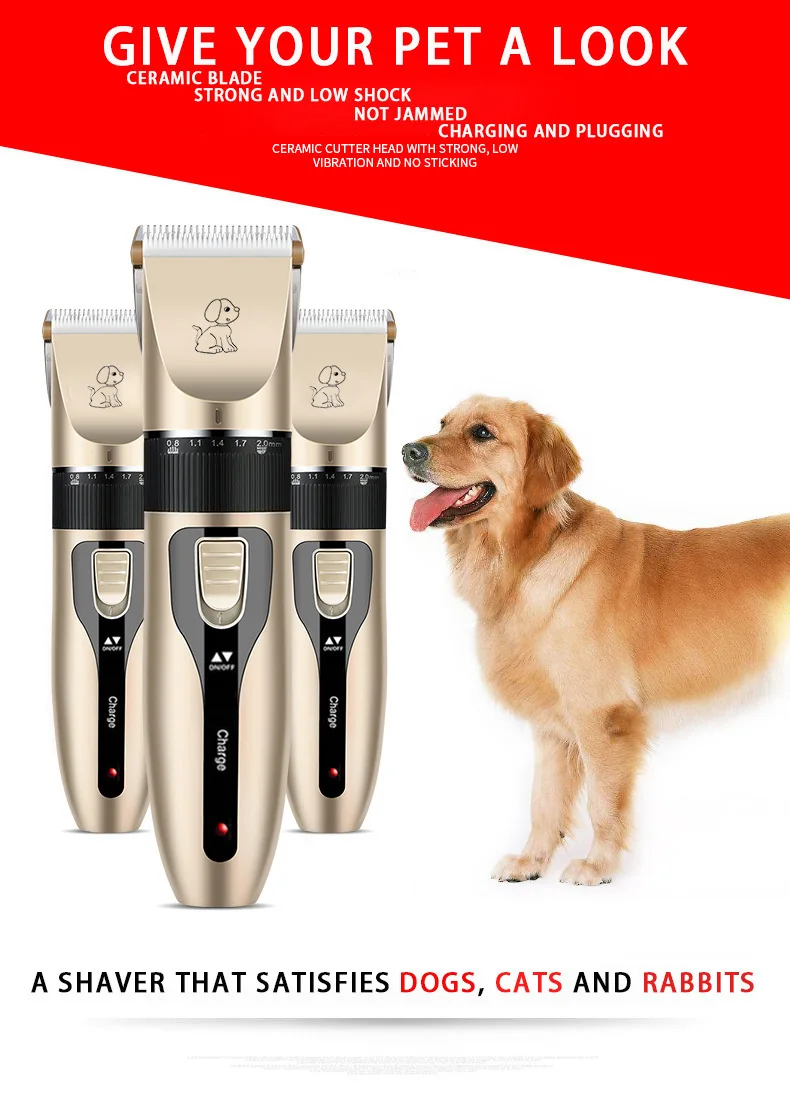 Best Sweeper for Pet Hair: Empowering Your Home with a Top-Rated Pet Hair Removal Tool