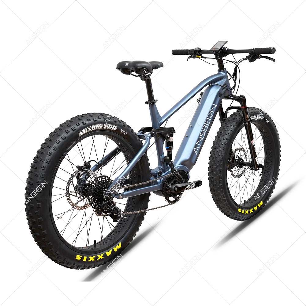 pro 10 fat electric mountain bike