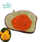 Health Factory Supply Eye Health Nutrition Supplement Marigold Flower Extract Lutein 5%