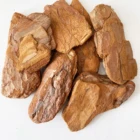 Wholesale China Supplier French Maritime Pine Bark Extract Garden Center Pine Bark Pine Bark Extract