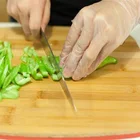 Or Thin Tpe Gloves New Product Manufacturer TPE Or PE Protective Thin Plastic Disposable Gloves In Kitchen For Food