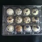 Disposable Egg Tray Disposable Eggs Trays Factory Supply PET Clear Disposable Quail Egg Blister Packaging Tray