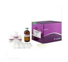 Kit The Most Popular RNAsimple Total RNA Kit For RNA Extraction