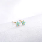 Cz 925 Silver Stud Earrings Silver Cute Turquoise CZ Stones Cluster Flower 925 Sterling Silver Stud Earrings