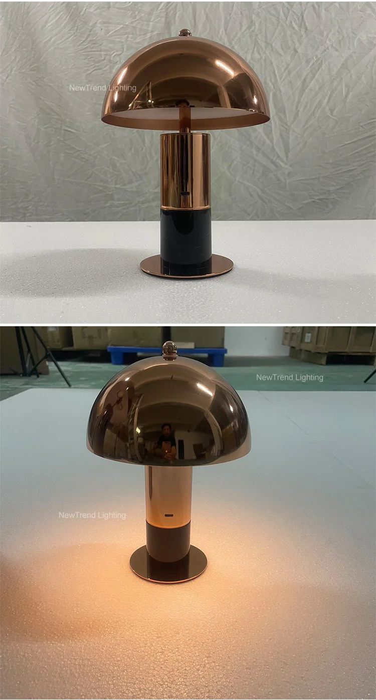 dxzp10 modern indoor decoration abs night light home bar party bedside top touch dimming led rechargeable table lamp-2