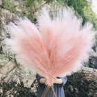 Wedding AP-03 Home Decoration Cream Pink Color Faux Artificial Pampas Grass Wedding
