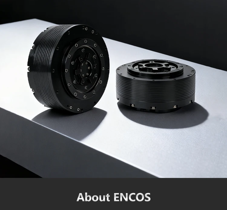 Permanent Magnet Gear Motor, ENCOS, EC-A10020-P1-12, 880W, 70A - detail 12