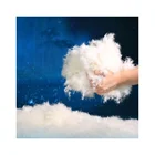 Coat Wholesale High Quality Coat Duvet Fill Material Washed White Goose Down 70% Sleeping Bag