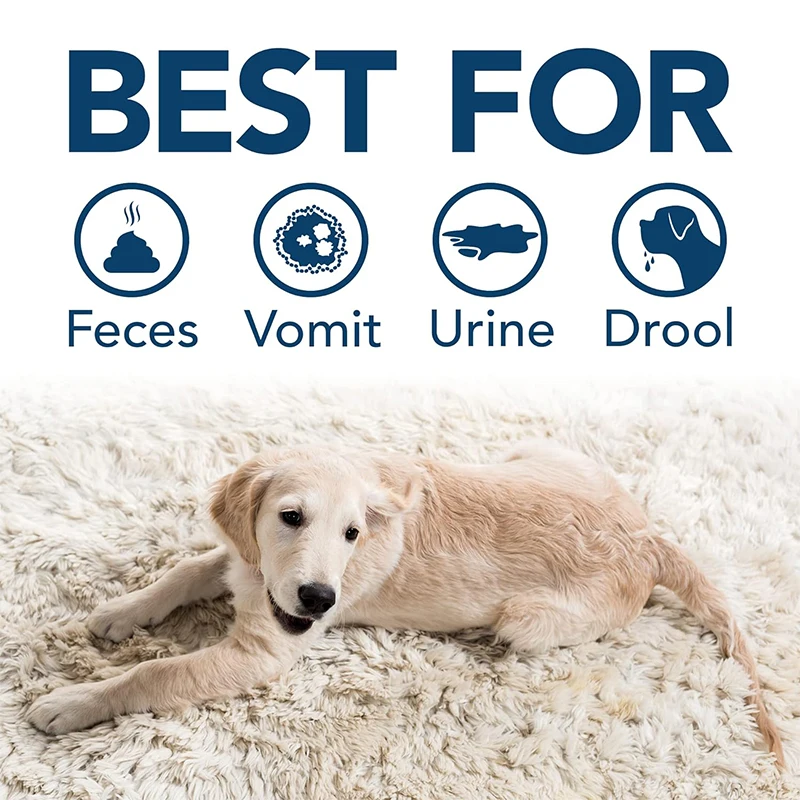 # Ultimate Guide to Effective Pet Urine Removal: Say Goodbye to Stains and Odors