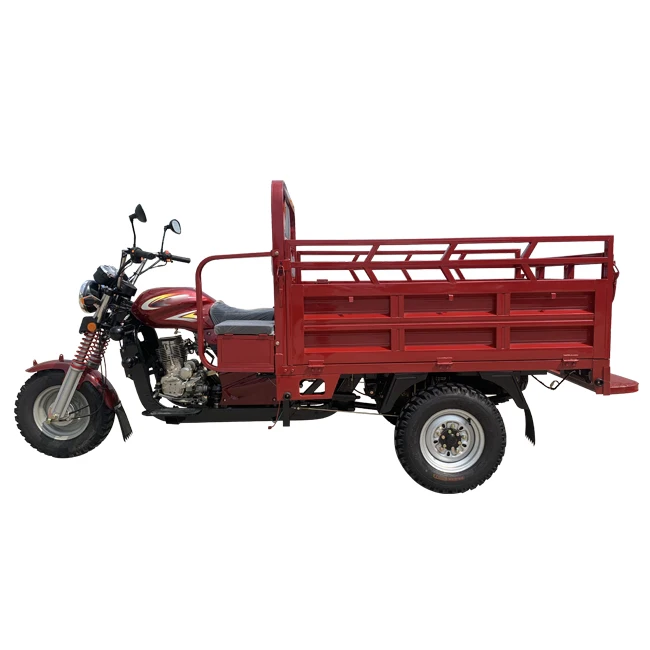 gas powered cargo trike