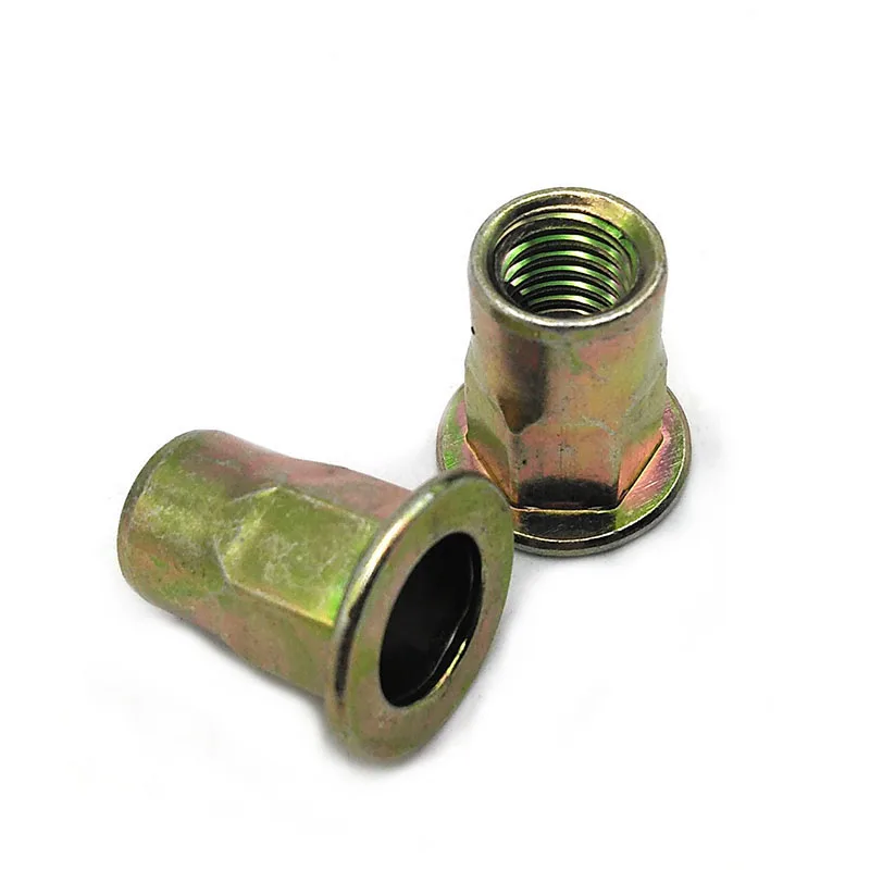 China OEM carbon ss steel titanium pressure thread blind rivnuts rivet rivets nutserts nuts insert nut