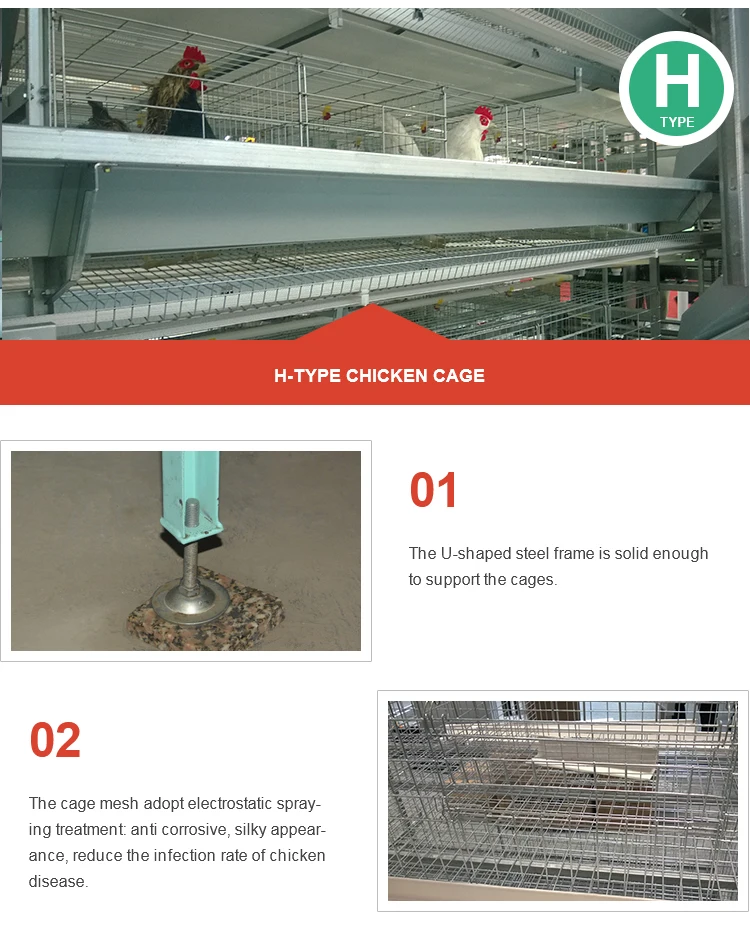 H type chicken cage