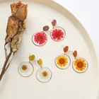 Earrings Stud Drop Stud Earrings Korea Ins Resin Earrings Dried Flower Plant Stud Earrings Jewelry Wholesale