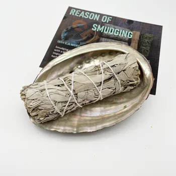 Organic White Sage Smudge Stick For Home Cleansing Negativity Incense Healing Meditation California With Abalone Shell Smudging