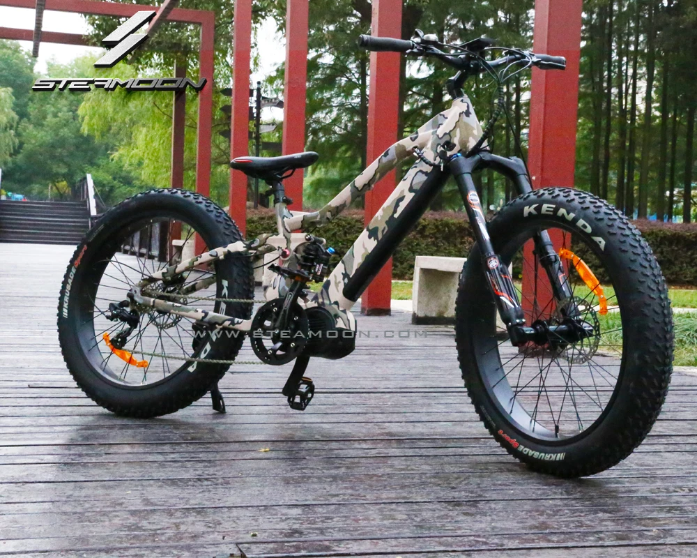 electric bike with big tyres