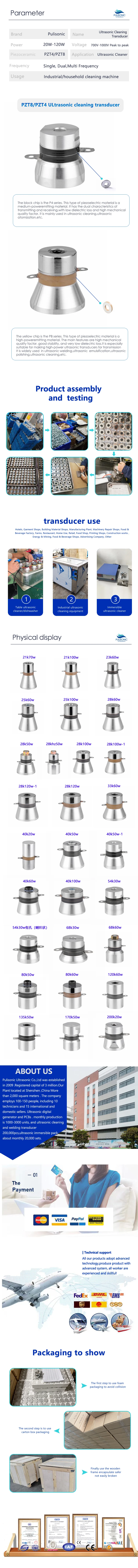 WT-cleaning transducer.jpg