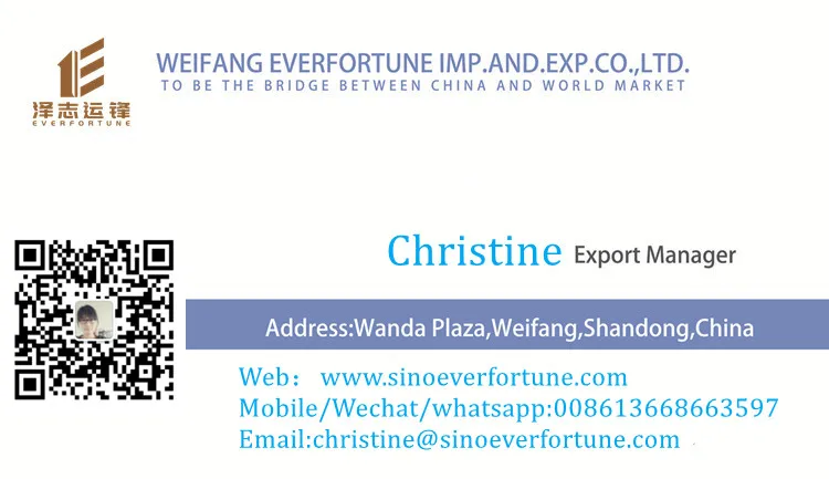 christine  business card