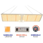 Boya Sunlight Samsung Full Spectrum 600w SF 6000 Dimming Board SF 600 Watt LED Grow Light Panel Tent Kit