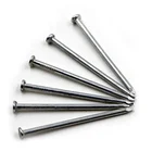 Nails Hot Dipped Galvanized Flat Head Common Nails Iron Large Electro Galvanized Iron Spike Wire Steel Nails