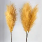 Plants Plants And Flowers Decoration Wedding Real Natural Small Pampas Grass Plants Flower For Decoration