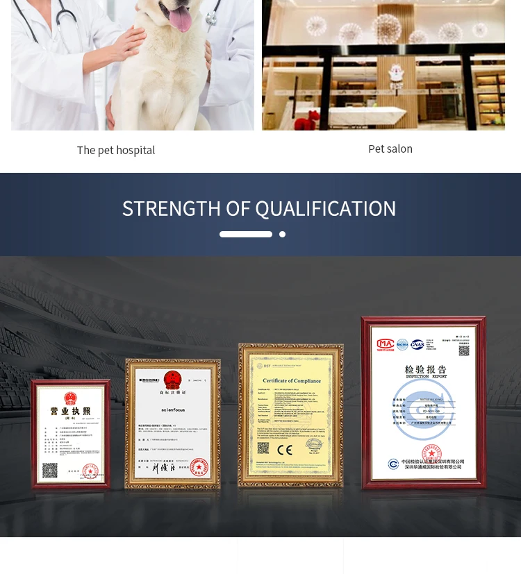 Automatic Pet Cat Grooming Hair Dryer Machine Large Smart Automatic Hair Blower Drying Box for Dogs