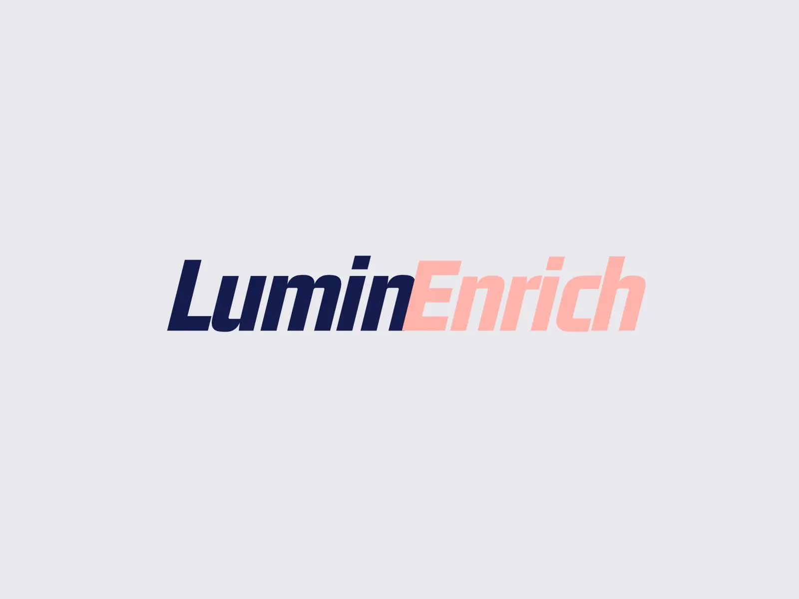 Company Overview Lishui Luminenrich Trading Co Ltd