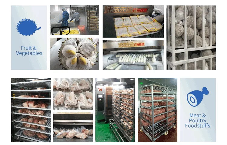 Blast Freezer, IQF, 500kg - detail 10