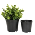 Planter Plastic Pots Garden Planter Smooth Plastic Potted Light Household Decoration PP Plastic Cheap Flower Pots