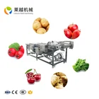 Commercial Ozone Fruit And Vegetable Washer Cleaning Bubble Carrot Cassava Apple Washing Machine