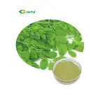 Moringa Moringa Manufacturers Organic Moringa Seed Powder Moringa Leaves Tea Moringa Leaf Extract Powder
