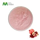 Fruit Fruit Youth Supply Fresh Organic Instant Drink Pomegranate Fruit Juice Powder