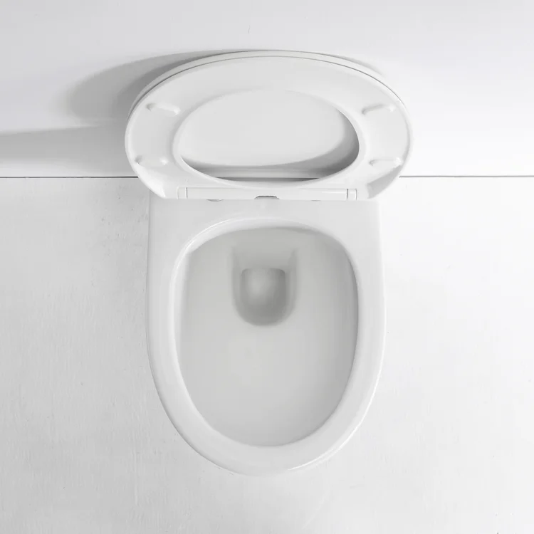 hygienic wall mounted toilet hygienic wall mounted toilet