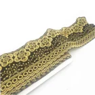 African/Middle East Flower Design Swiss Velvet Gold Color Embroidery Iron On Lace Border