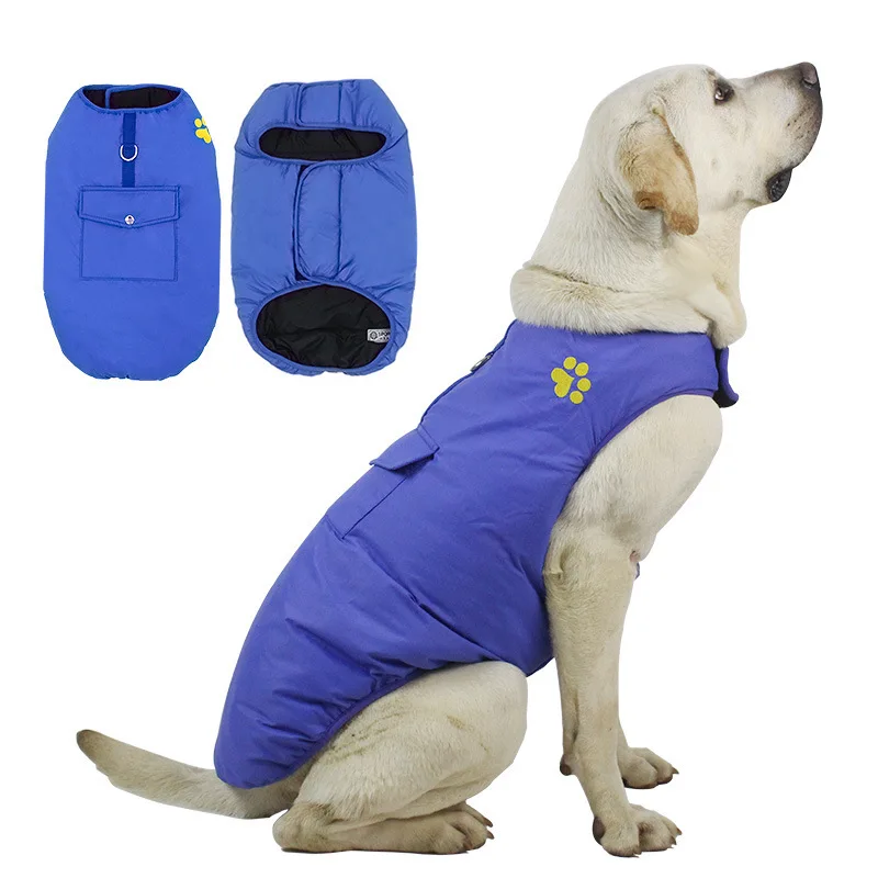 Should Labradors Wear Coats In Winter