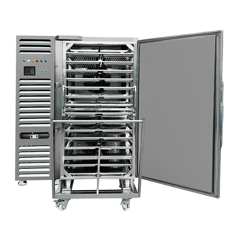 Commercial Shock Freezing Freezer, 3P 380V50HZ, 12KW - detail 6