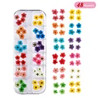 Nail Art 3D Nail Art Decoration Real Dry Dried Flower For UV Gel Acrylic Nail