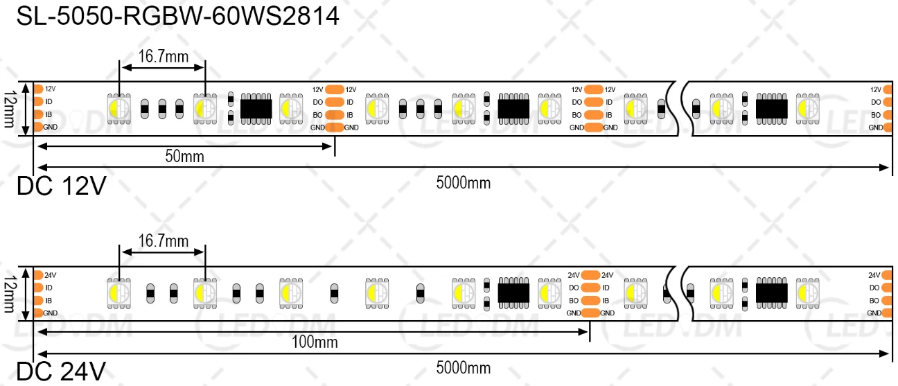 WS2814