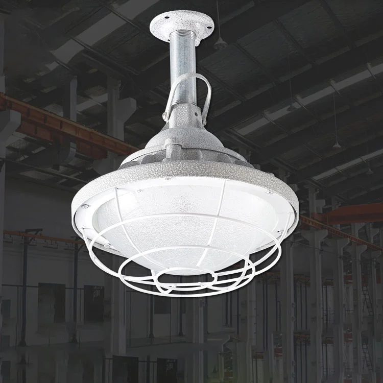 Explosion-proof Led lamp Mine light 100w gas station chemical plant waterproof anticorrosive floodlight chandelier