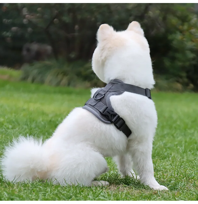 Custom Printed Reflective Mesh Padded Pet Vest Front Clip Large Nylon Adjustable No Pull Dog Harness for Small Medium Large factory