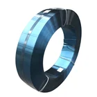 Steel Spring Strip Blue 65mn Sheet Steel Spring Steel Strip Of Spring Steel Plate Blue Polished For Rolling Shutter