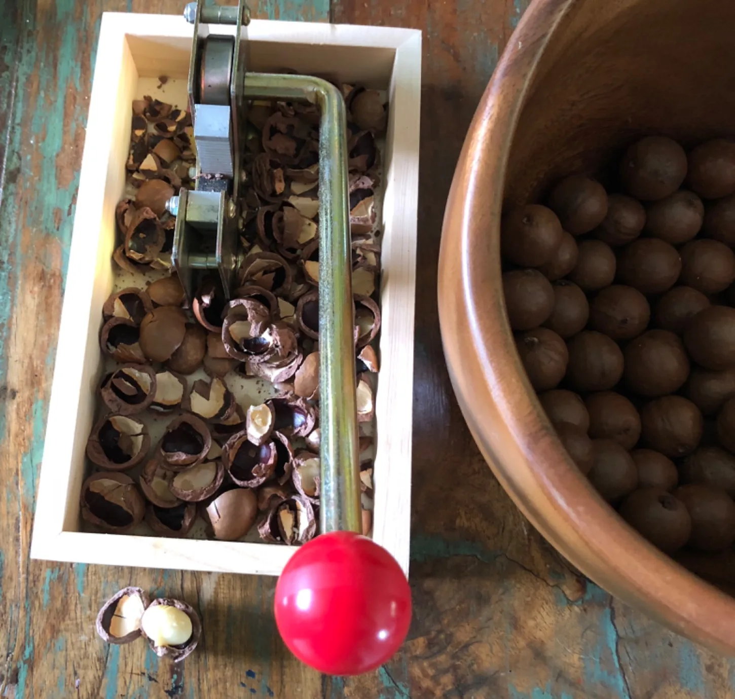 Youlike 2023 New Nutcracker Nut Tongs,Peeling Machine Kitchen Tools Heavy Duty Pecan Nut Cracker Opener Tool