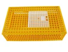 Poultry Plastic Transport Crates Cheap Chinese Plastic Chicken Coop Transport Cage Poultry Crates