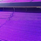 Led Strip Light Led10w Custom Length 270 Nm 275nm 280nm Led Strip Light 3535 Germicidal Uvc Led Strip