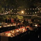 Garland Led Holiday Decoration Light 48FT E26 Globe Light Bulbs Patio Holiday Garland Christmas Light